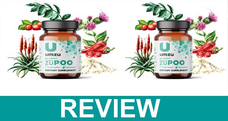 Zupoo Reviews