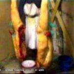 Armin Meiwes Crime Scene Photos