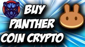 Read more about the article Panther Swap Token {May 2021} All Details Here!