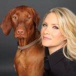 What Kind Of Dog Is Jasper Dana Perino?