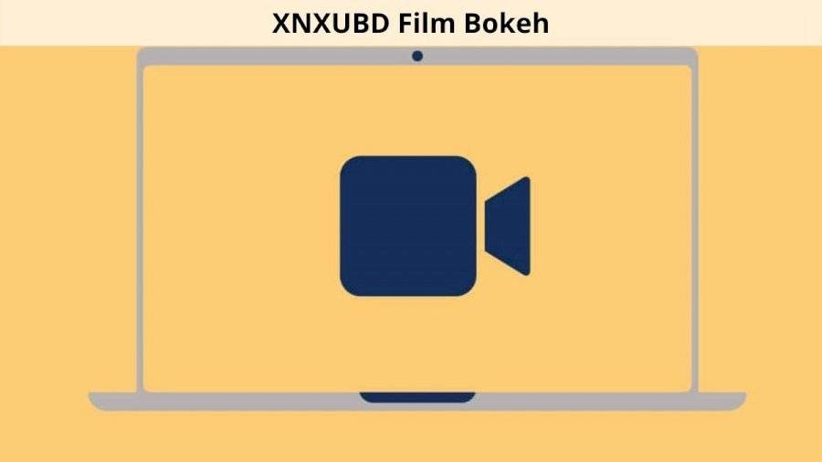 Xnxubd Film Bokeh Full Bokeh Lights Bokeh Video Google Drive