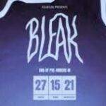 Bleakprojet Com (Oct 2021) Best Website For Animation Projects!