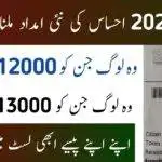 Ehsaas Program 2022: How To Check & Apply Online?