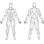 Musclewiki Com (May) Get Detailed Information!