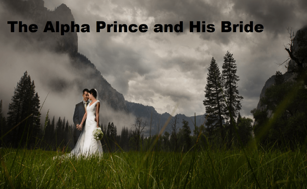 The Alpha Prince And His Bride Pdf