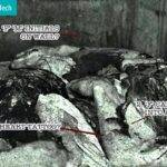Mary Jane Kelly Crime Scene Photos, Injuries, Murder & Post Mortem!