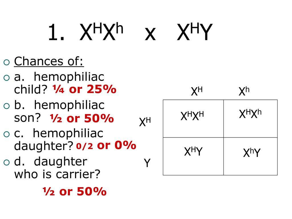 Xhxh Hemophilia X