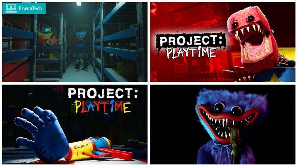 Project Playtime Game