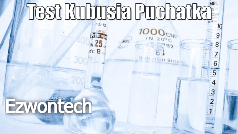 Test Kubusia Puchatka