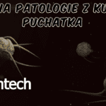 Test Na Patologie Z Kubusia Puchatka