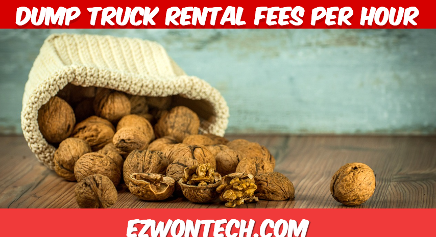 Dump Truck Rental Fees per Hour