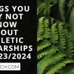 Things You May Not Know About Athletic Scholarships In 2023/2024