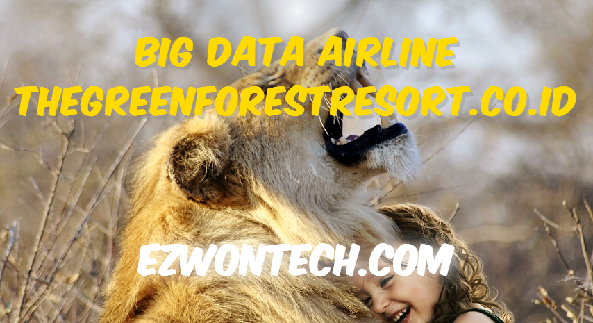 Big Data Airline Thegreenforestresort.co .id