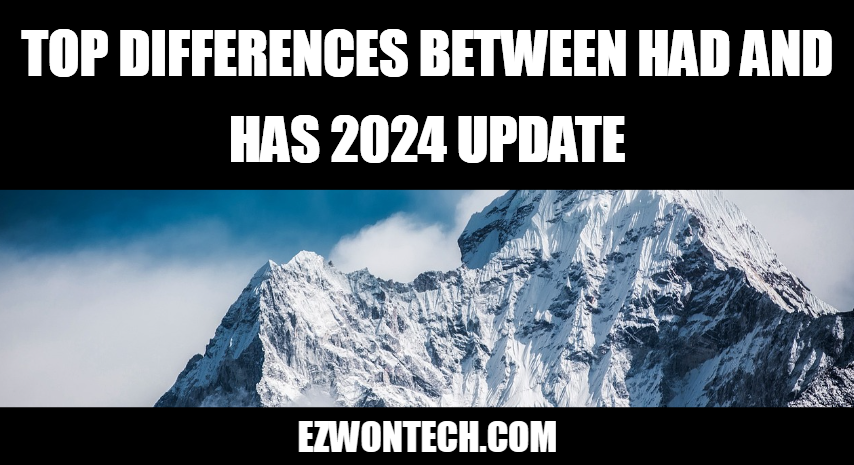 Top Differences Between Had And Has 2024 Update