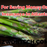 5 Tips For Saving Money On Home Insurance In Atlanta