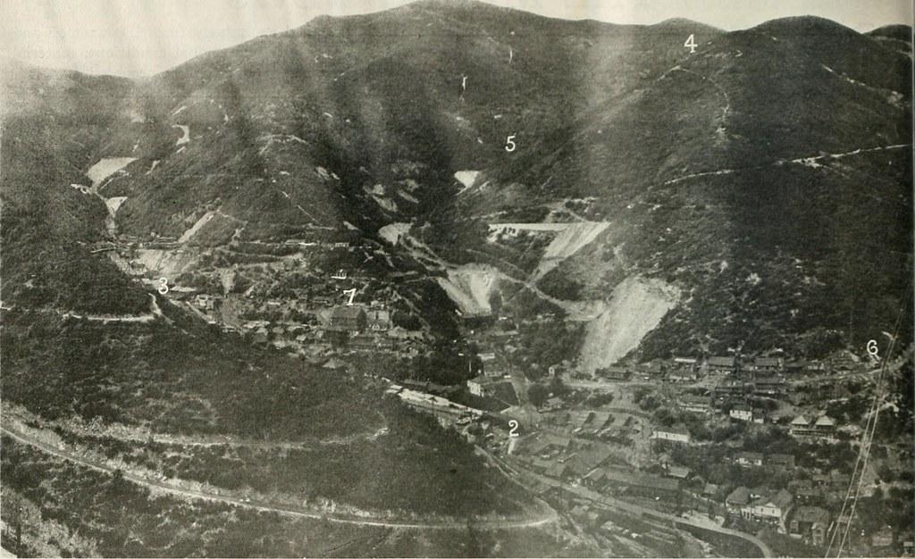 Potential risks associated with ‌using 