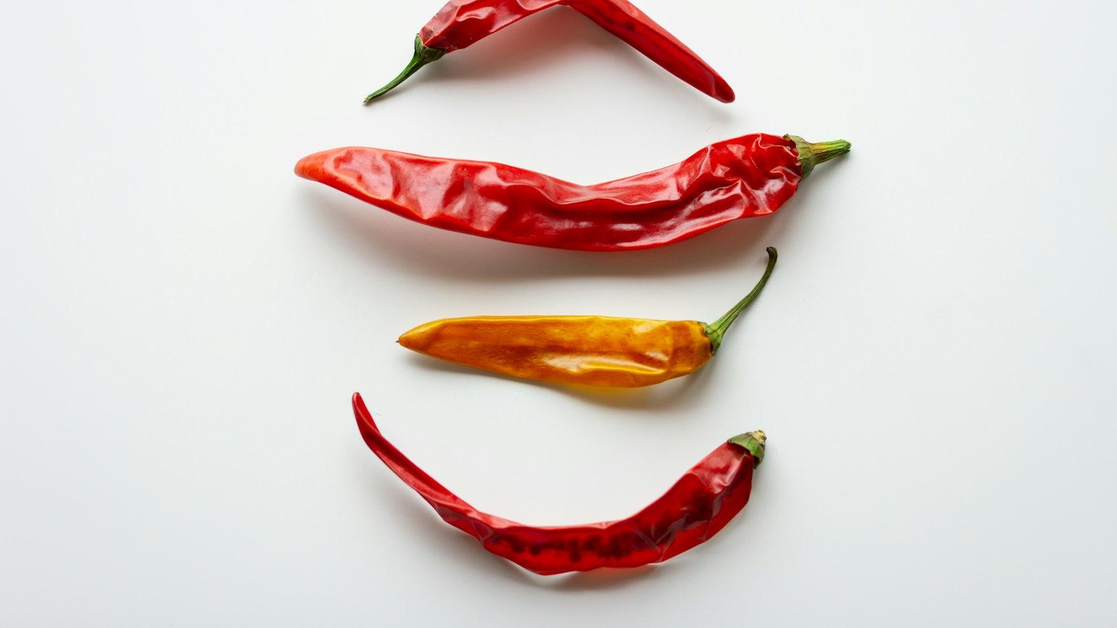 Reviving Flames: Red Hot Chili Peppers’ Electrifying 2024 Tour