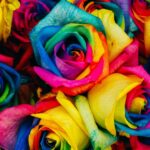 Rainbow Magic: Unlock the Spectrum of Convenience with the Wallet Extension