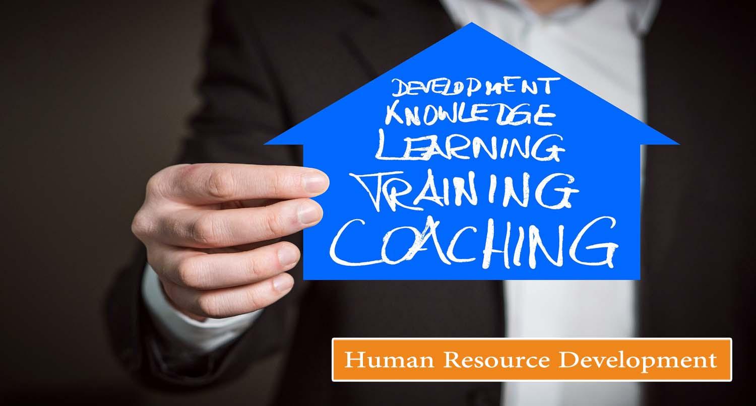 Insights for HR Professionals: Leveraging the Power of hris.pcrsemarang.id