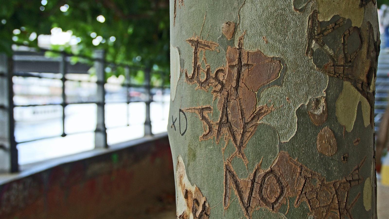 The Frenzy ‌Behind Robux Clicker Scratch: Exploring the Gaming​ Goldmine