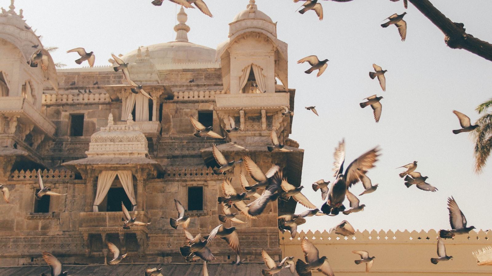 Unveiling the Uncompromising ‌Commitment to Authenticity: Vicky Kaushal's Physical Training for ⁢Sam Bahadur