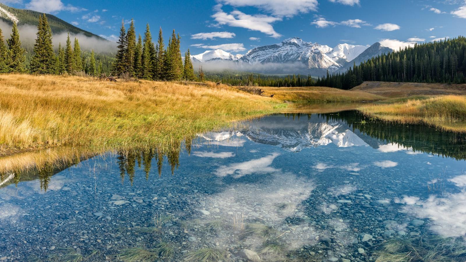 Analyzing the Potential: Insights into Canada GIC Amounts for 2023