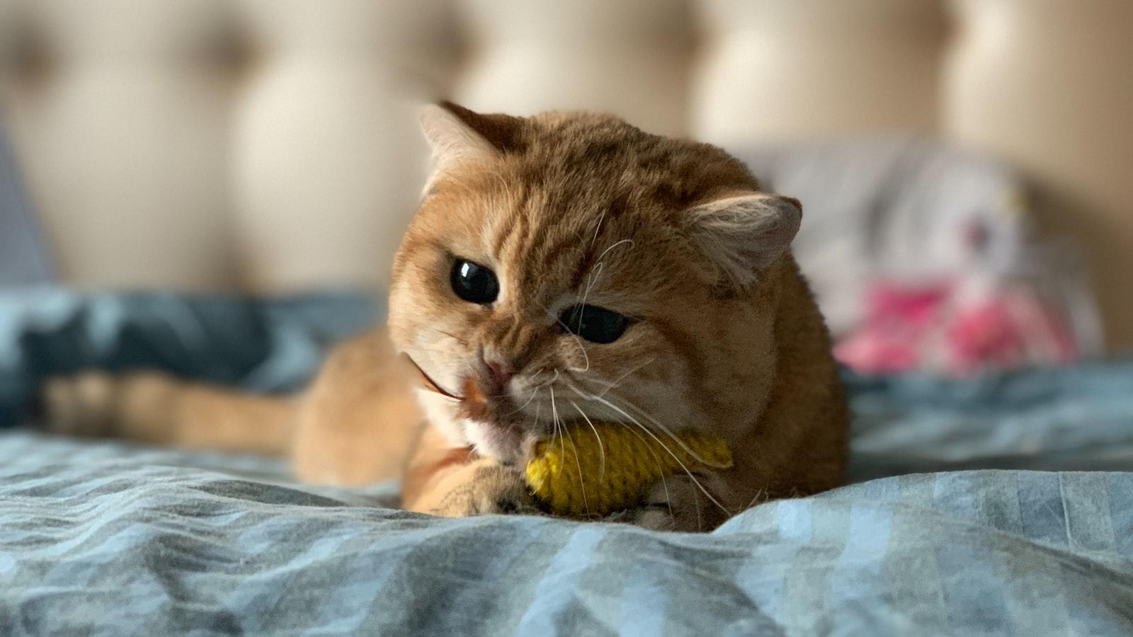 Unveiling Ojasclub com: A ‌Journey to Greater Vitality and‌ Wellness