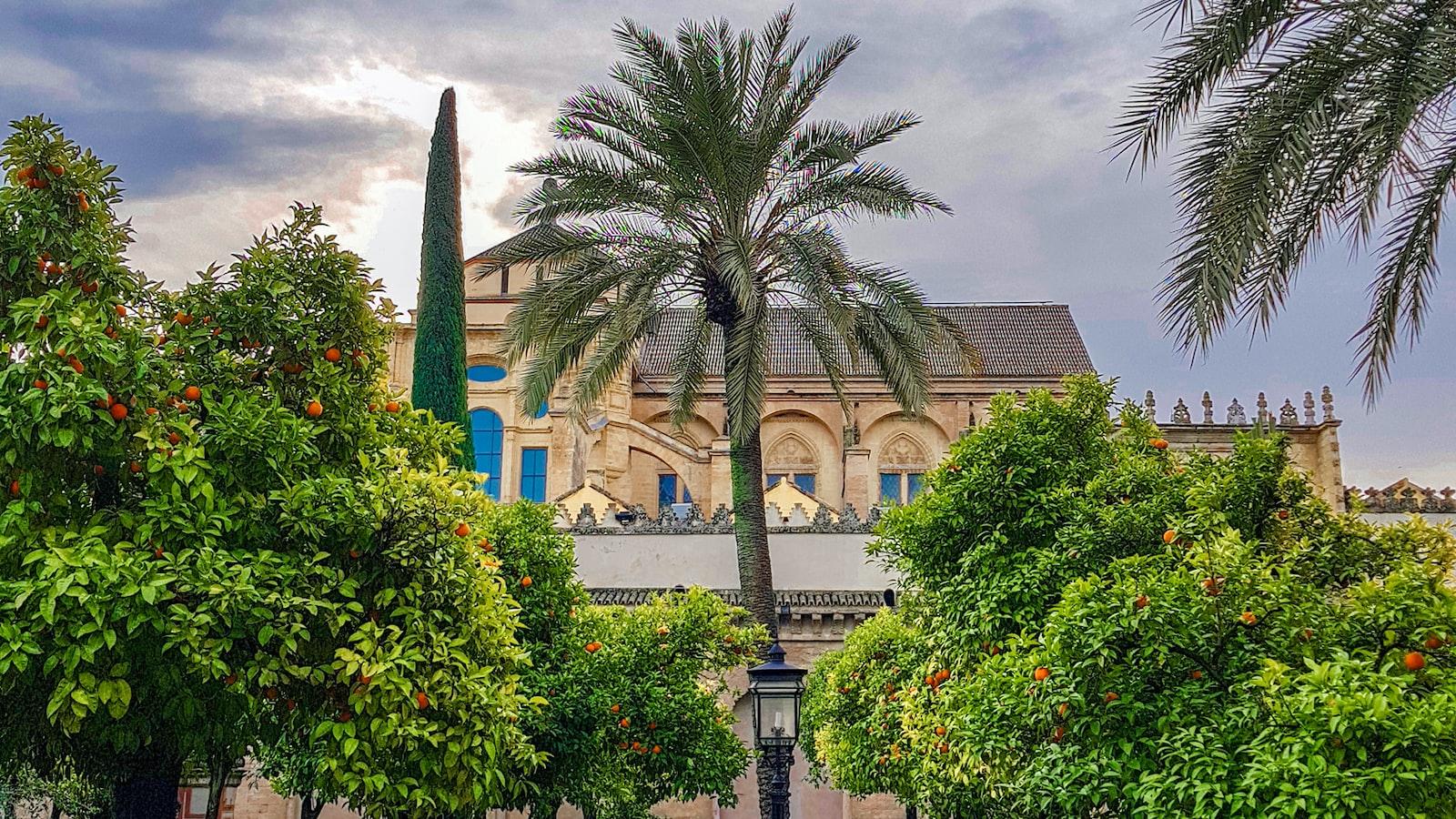 Unlocking the Potential: Harnessing the Power of bpexch com