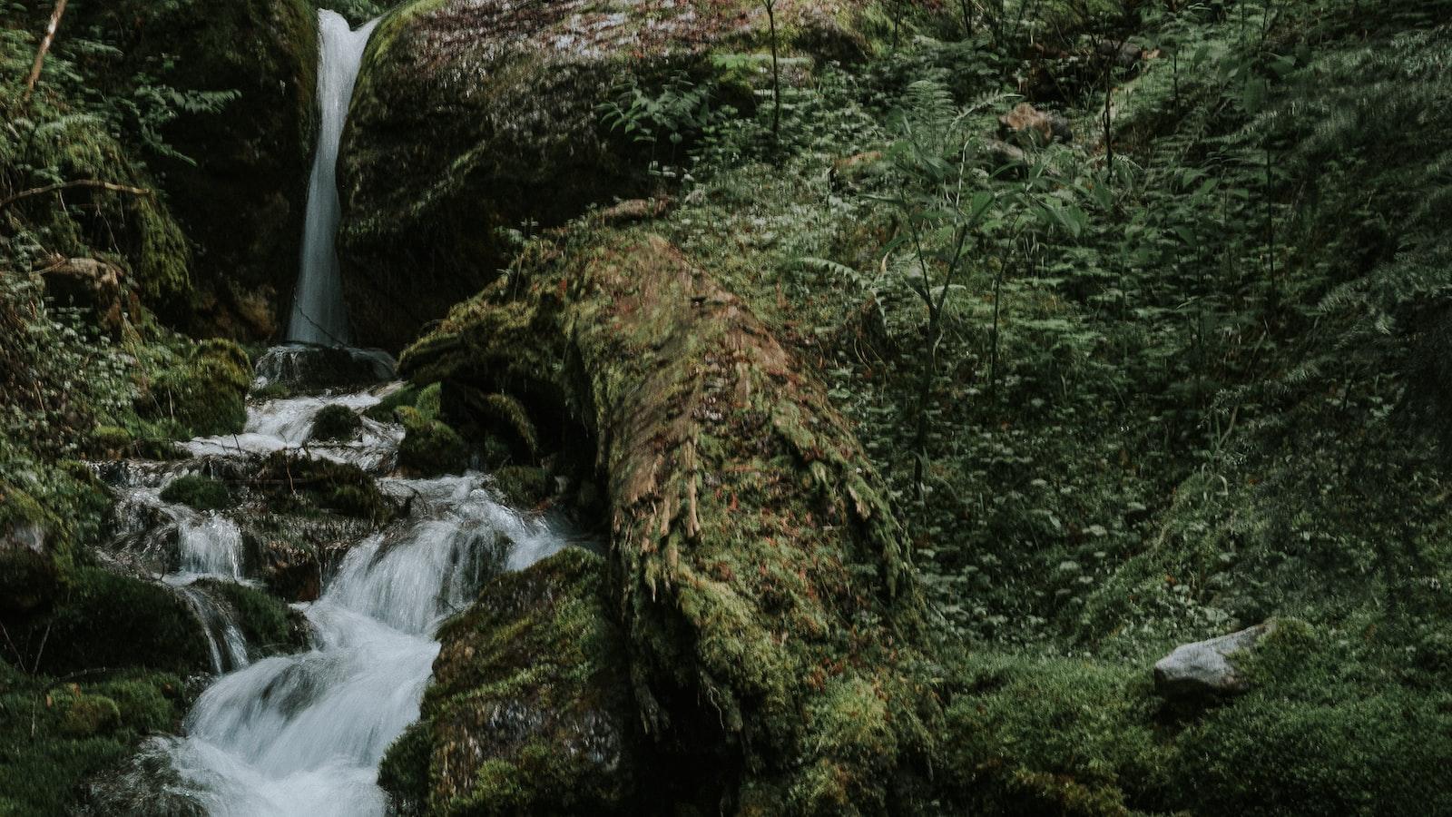 The Enchanted World ‌of www.gget.site: ‍An Online ⁤Oasis for the Dreamers