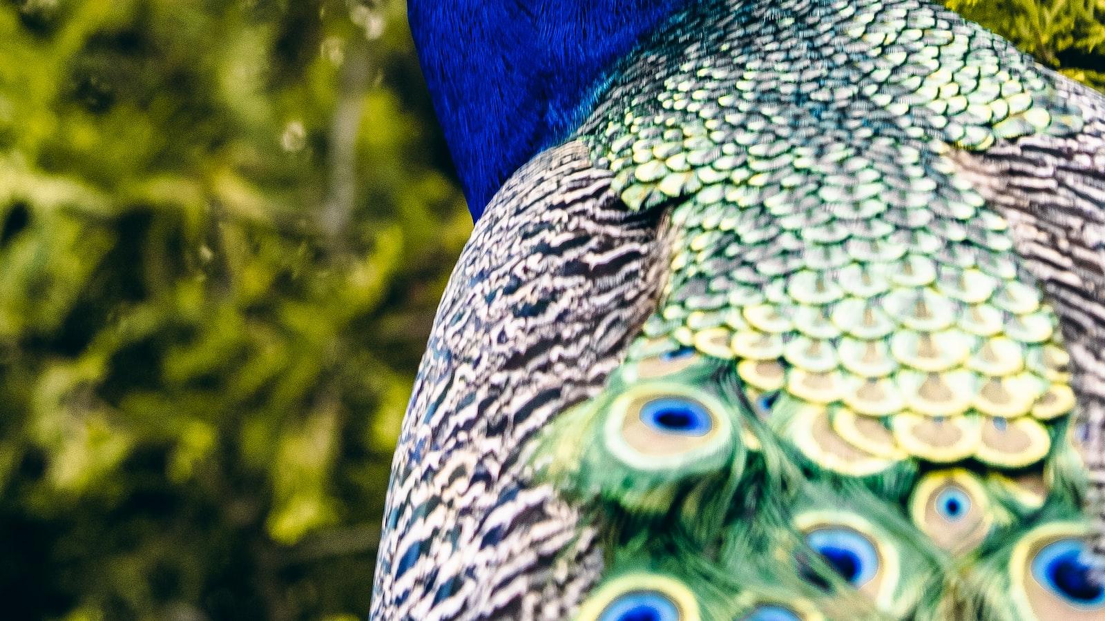 Understanding the DOMS IPO Allotment Date: A ‍Comprehensive Analysis