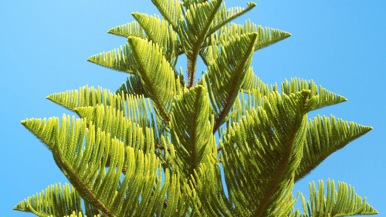 Maximize Productivity:⁣ Unleash the Power ‌of⁤ erp.kpp621.id