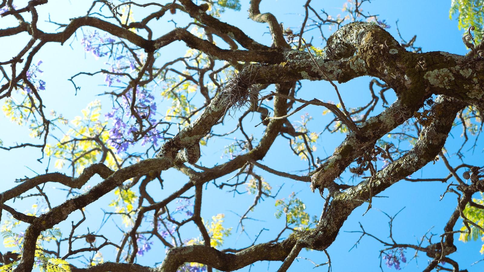 Stay Ahead of ⁤the Competition with erp.kpp621.id’s Customizable Solutions