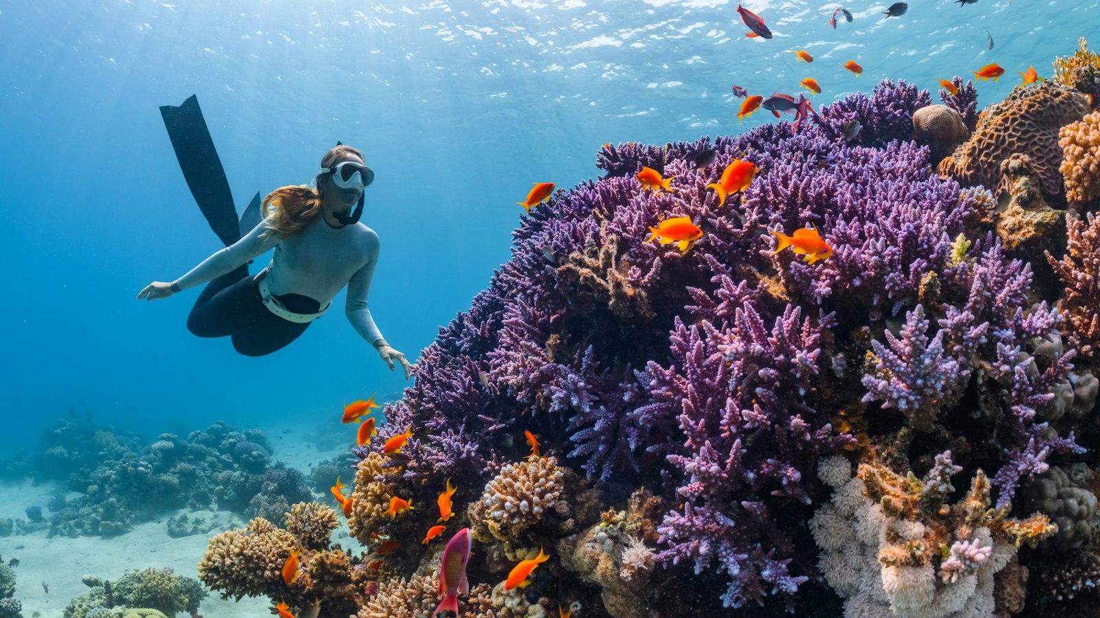 Exploring the Diversity of Opportunities at bpexch com