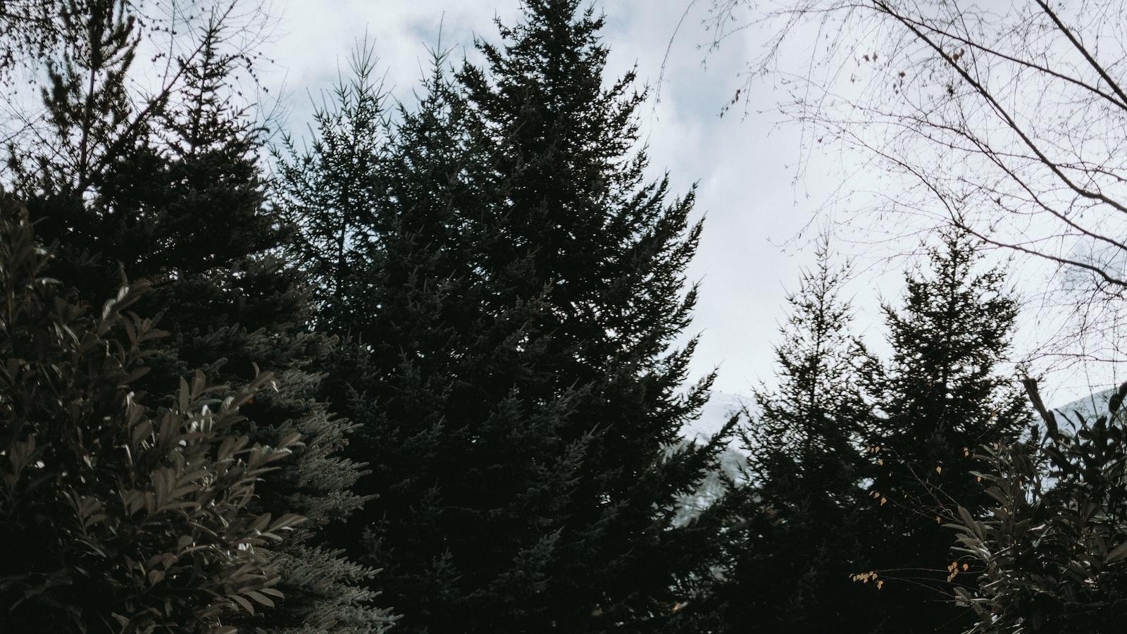 Fostering Transparency and Accountability: A Key Pillar of ElGobiernoContigo Gob Com