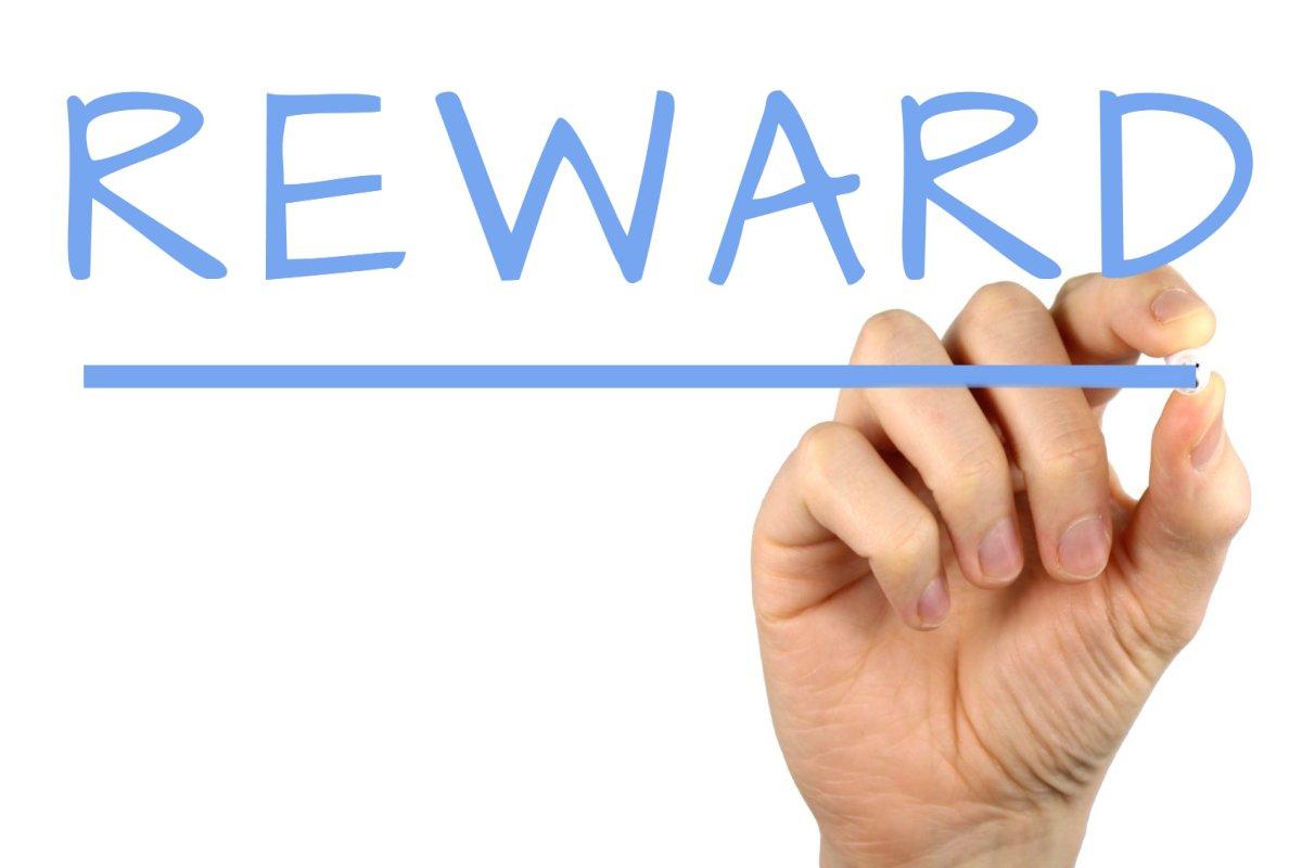 Delving into the Rewards Ecosystem: A Comprehensive Analysis of Rewardff2024