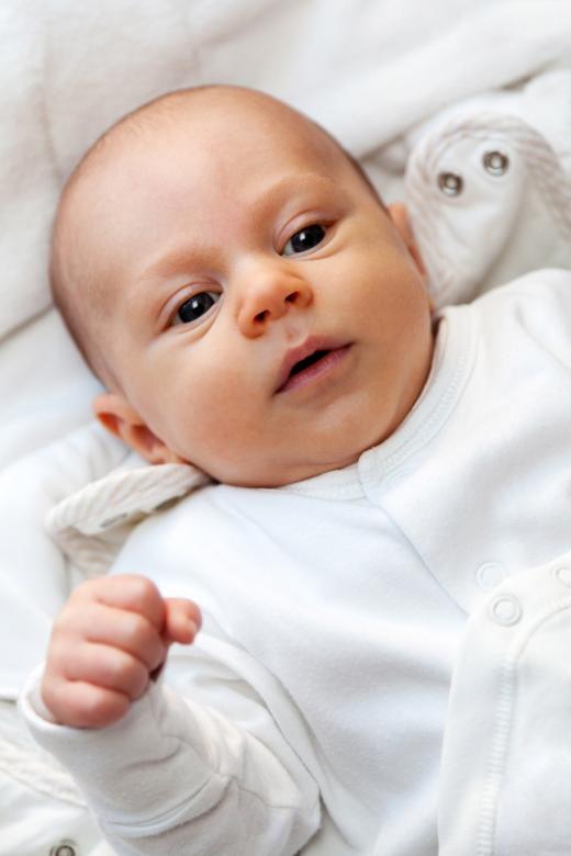 Discover the Adorable World of BabyBha: Your Ultimate Online Hub for All Things Baby!
