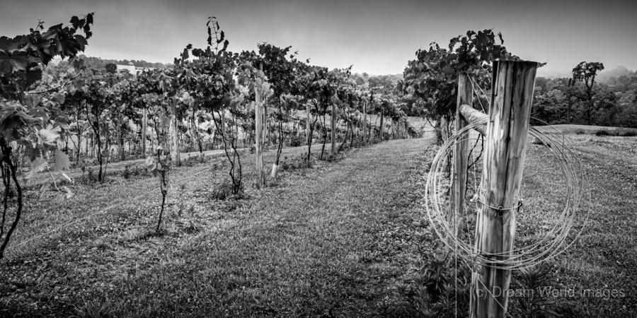 Unleash Your Creativity: Dream‍ Interiors Made Easy with CountryDoor.com