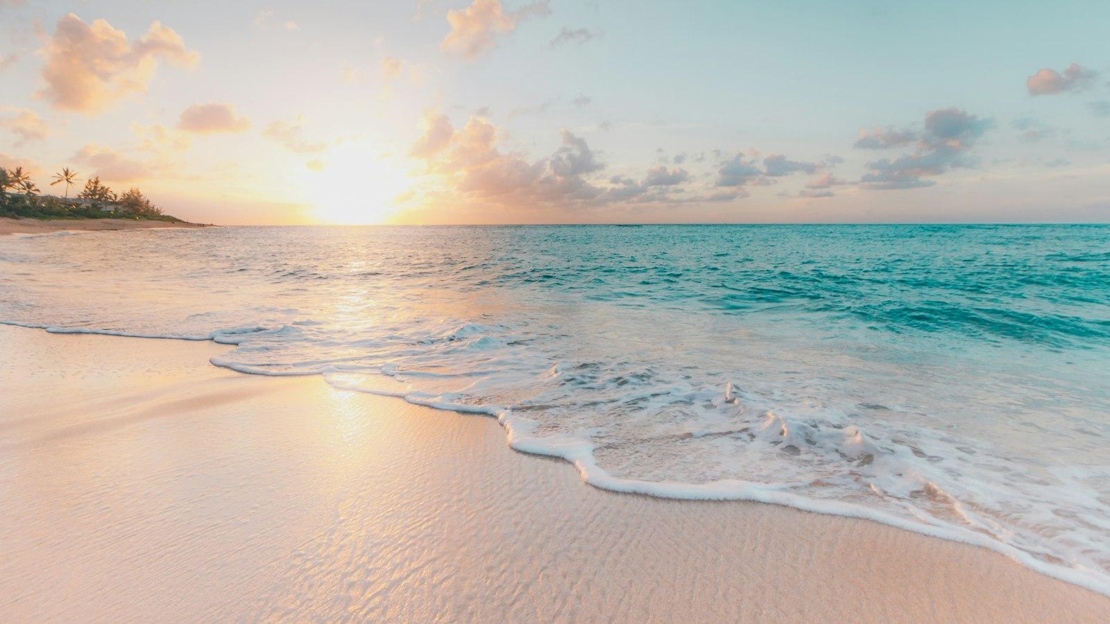 Forging Stronger Bonds: The Healing ‌Haven's⁢ Collaborative Model ⁤for ​Holistic ⁣Healing