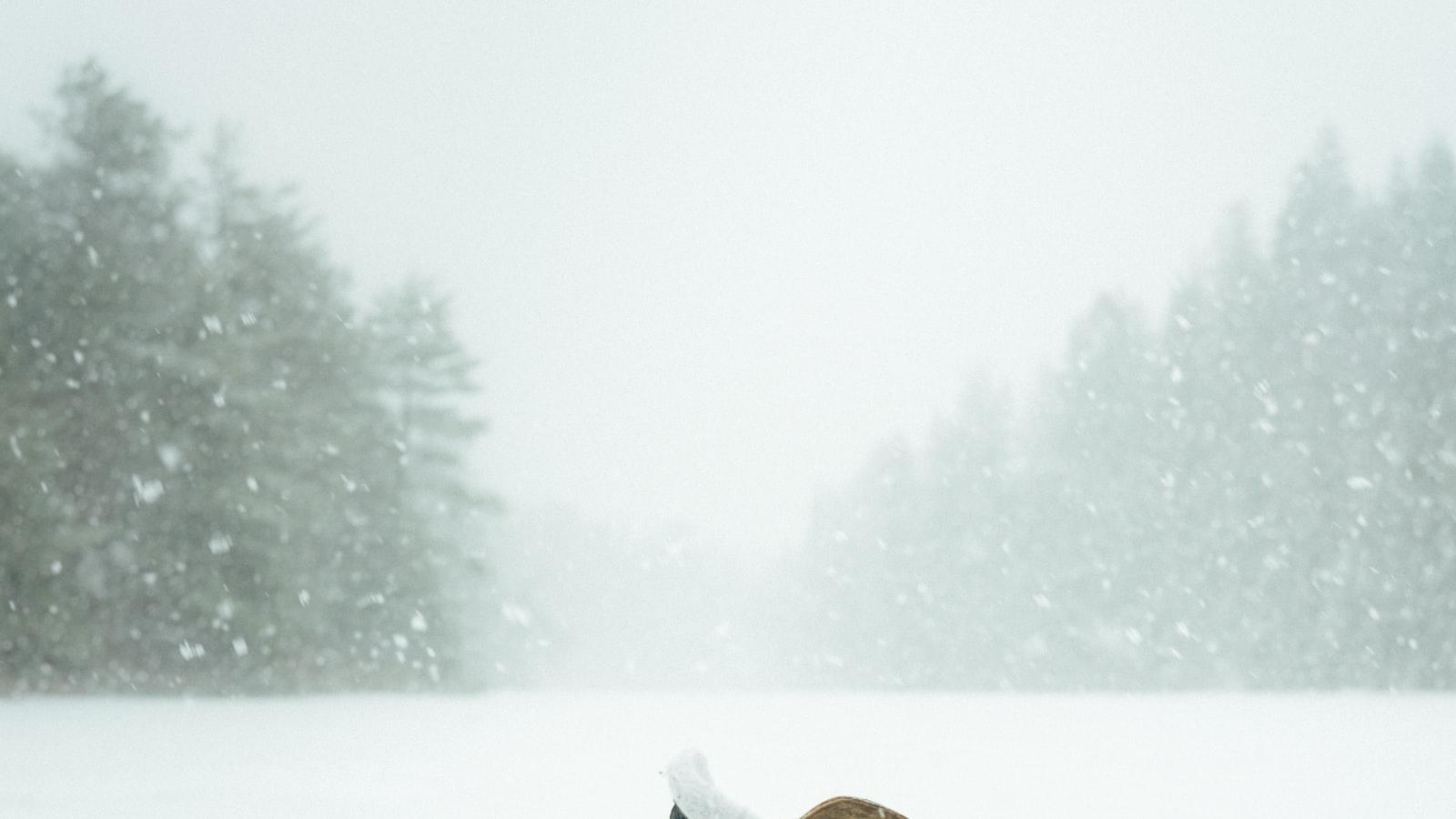 Unearthing Rising Stars:⁤ An In-depth​ Look at the Top Prospects ⁤Competing in the IIHF World Juniors 2024