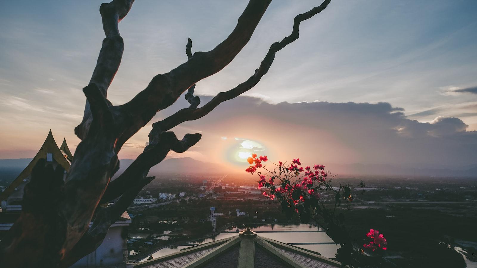 Unlock Salman Khan's Filmography with Movieflex.info