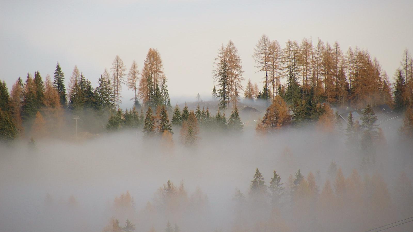 Journey Through the Unknown: Lifting the veil on the mystical realms of Umkhokha Teasers