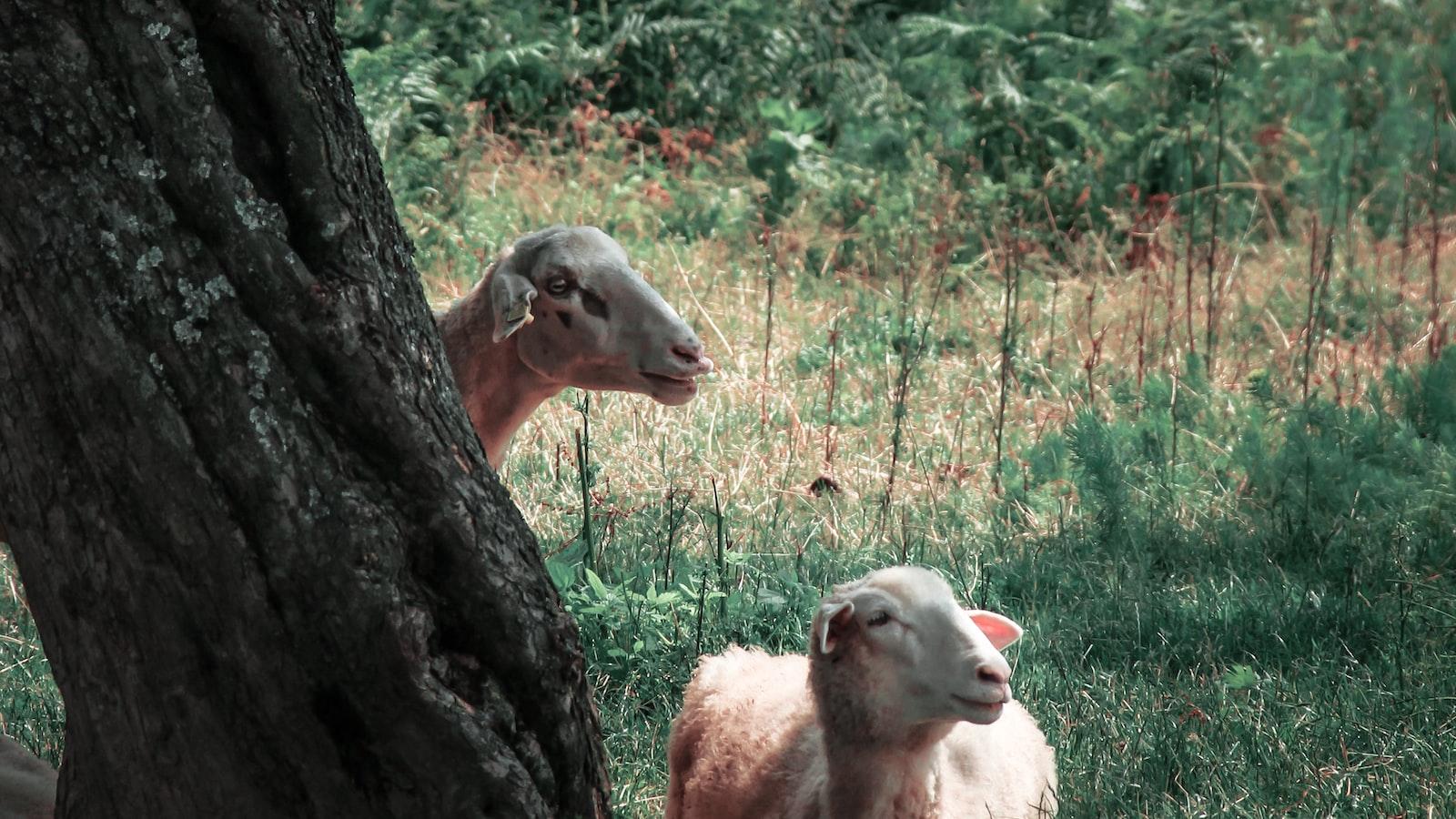 The Ultimate Guide to Redefining Your Space: Recommendations ⁣from ⁤CountryDoor.com