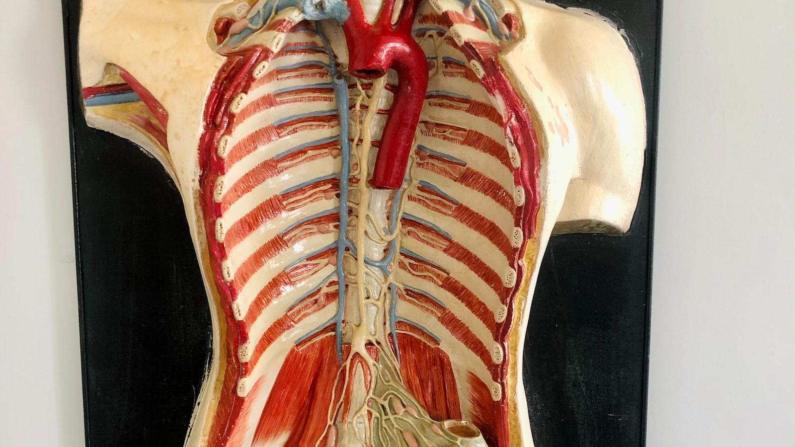 Introducing lmc8.4 APK: The Ultimate Gateway to Limitless Entertainment