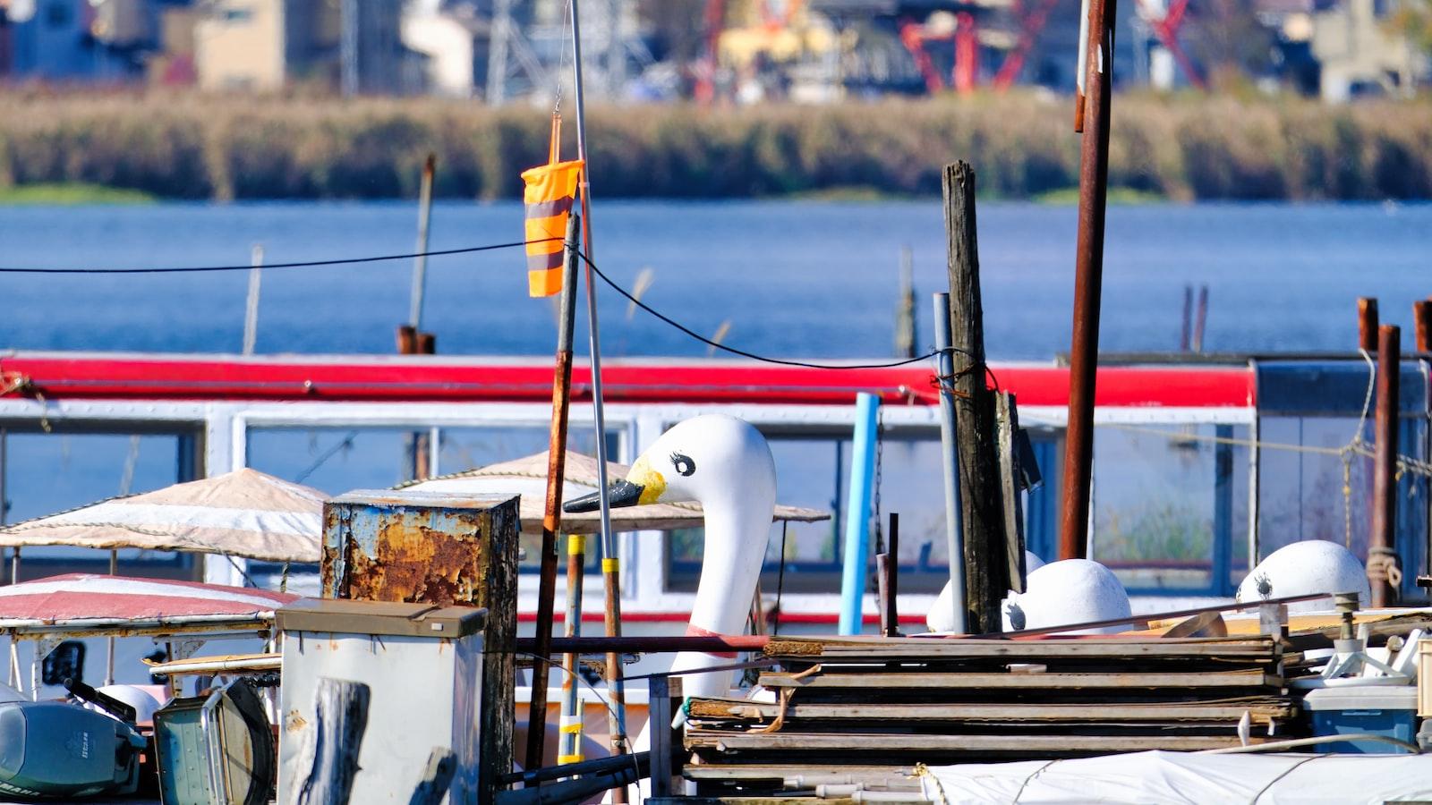 Enhance Your Movie Experience​ with Movieflex.info - Your Ultimate Salman Khan Destination!