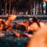 Revamp Your Visuals with imresizer. com: The Ultimate Image Resizing Solution