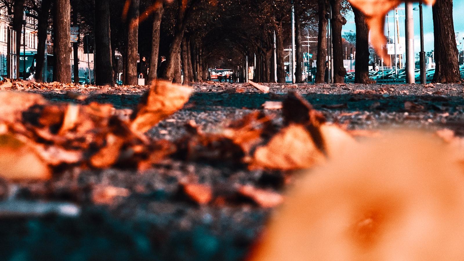 Revamp Your Visuals with imresizer. com: The Ultimate Image Resizing Solution