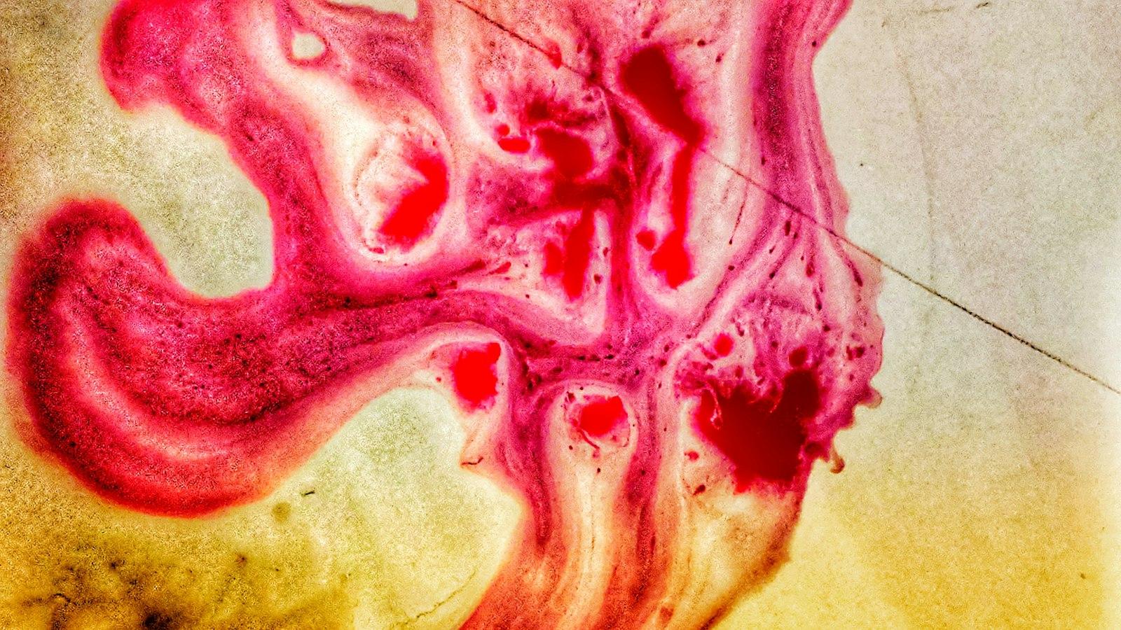 Optimize Your Workflows: Power User Tips and Tricks for pdfhai.com