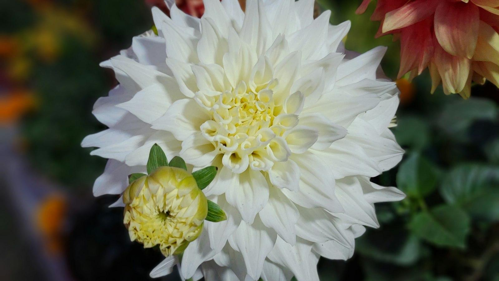 Unleash your Online Potential with Microtasks: Overview of an Untapped Opportunity