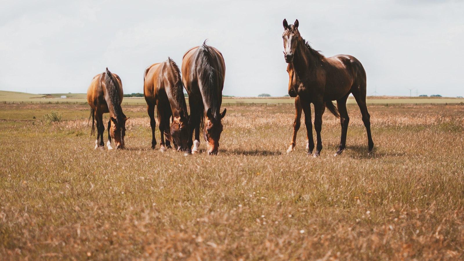 Empower your creative journey with practical tips and strategies