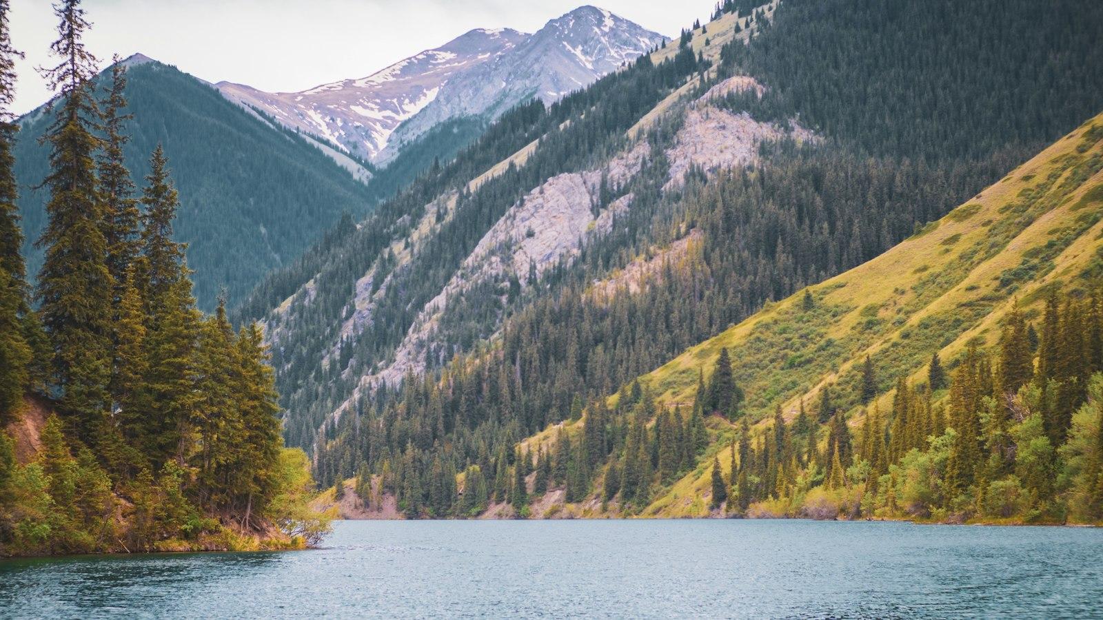 Uncovering the Hidden Potential: Harnessing the Power of bit.ly/3pymop3